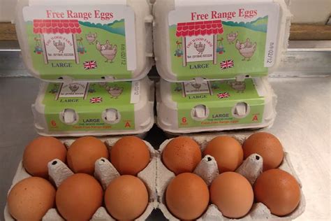 Free Range Eggs (6 Pack) - Ogleby Butchers