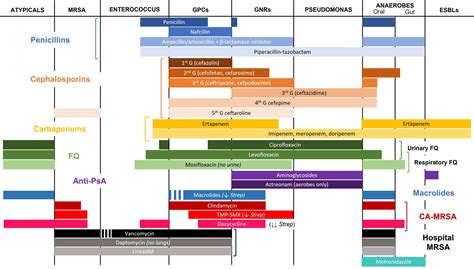 Antibiotics - Part 1: Spectrum - teachIM