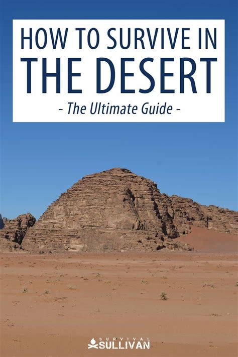 How to Survive in the Desert - The Ultimate Guide - Survival Sullivan