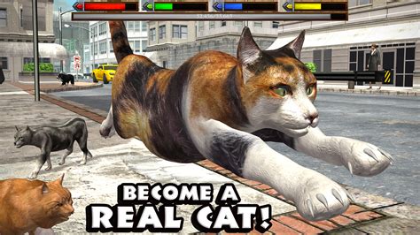 Giant Cat Pet Simulator Simulator Pet Cat Apkpure - thebandagroup