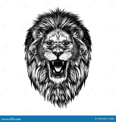 Urban Clipart Black And White Lion