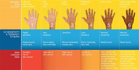 Skin Types Chart