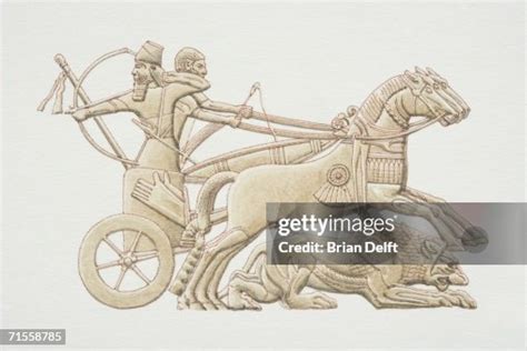 Mesopotamia Warriors Riding Chariot Side View High-Res Vector Graphic ...