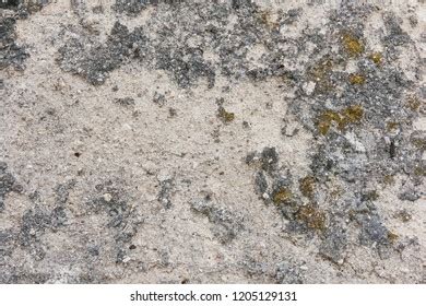 Volcanic Tuff Rock Texture Stock Photo 1205129131 | Shutterstock