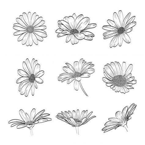 Daisy Flower Drawing Tattoo