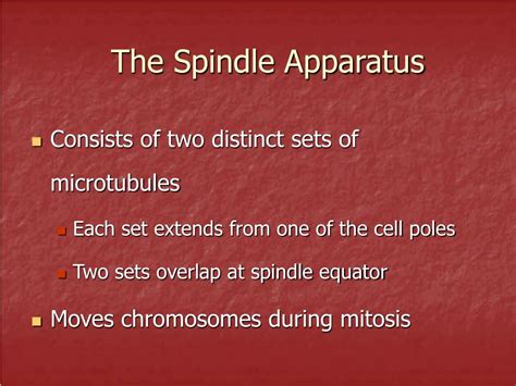 PPT - Cell Division and Mitosis PowerPoint Presentation, free download ...