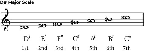 D Sharp Music Note: The Complete Guide to the Note and Key