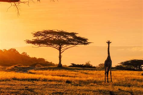 20 Helpful Africa Tips BEFORE Traveling To Africa