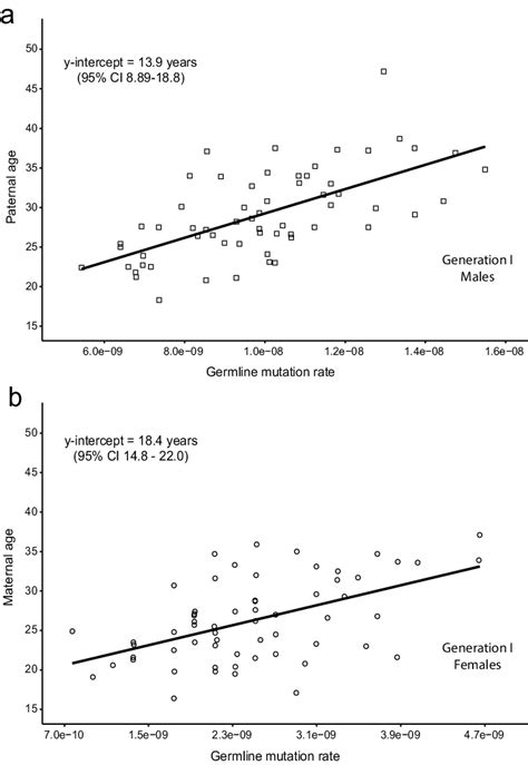 Estimating the age when germline mutation accumulation rates are ...