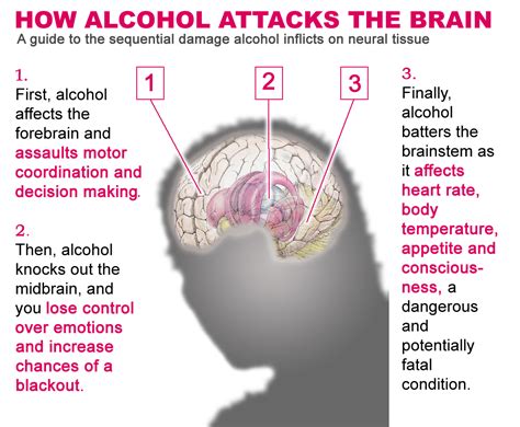 Growing Up Sober: The Effects of Alcohol Abuse