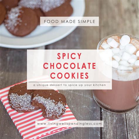 Spicy Chocolate Cookies | Living Well Spending Less®