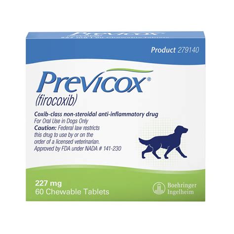 Help Your Pooch Relieve Arthritis Pain | PetCareRx