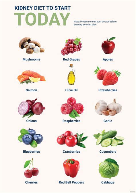 Diet Chart For High Creatinine Patient in Illustrator, PDF - Download ...