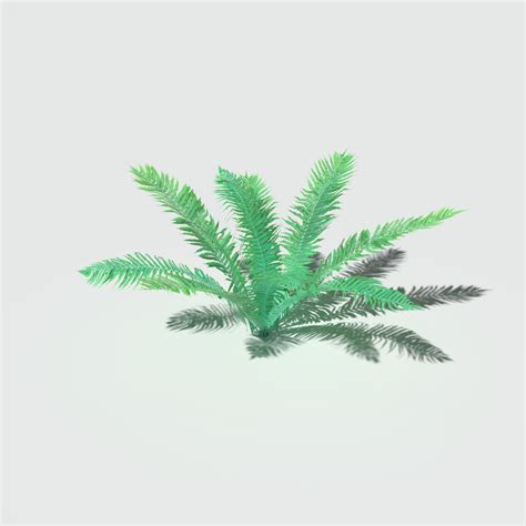 ArtStation - Fern Pack | Resources