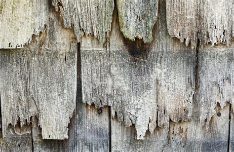 Rotted wood siding stock image. Image of texture, dilapidated - 71180931