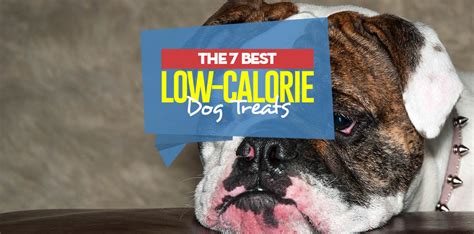 Top 7 Best Low Calorie Dog Treats in 2018 (for training or obese dogs)