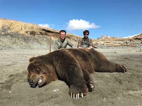 Guided Kodiak Brown Bear Hunts | Katmai & Aniakchak Guide Services