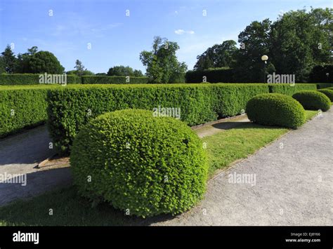 Various forms of shrubbery clippers Stock Photo - Alamy