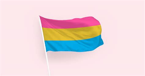 What Is the Pansexual Pride Flag & What Does It Mean?