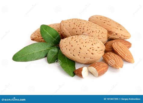 Group of Almond Nuts with Leaves Isolated on White Background Stock ...