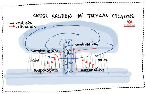 Tropical Cyclone Diagram