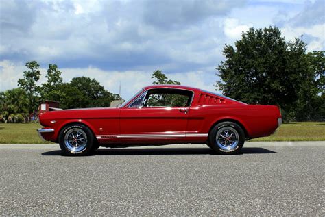 1966 Ford Mustang | American Muscle CarZ