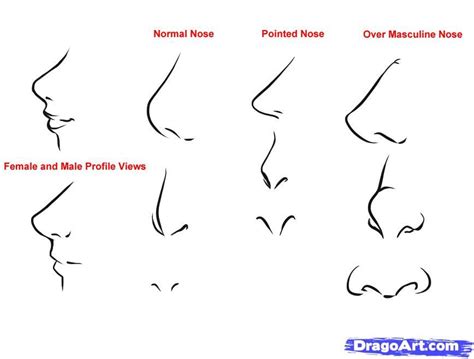 How to Draw Anime noses and mouths | how to draw anime noses step 1 ...