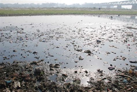 Narmada River Pollution