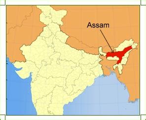 Assam Location - Location Of Assam, Geographical Location Assam India