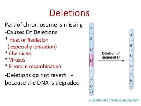 Change in chromosome structure