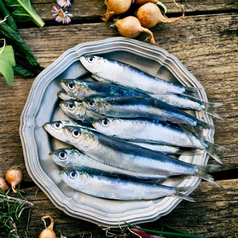 Sardine Fish | Benefits of Sardine | Seafood Fish | Blog