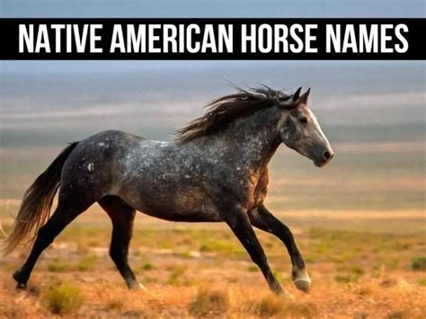 150+ Native American Horse Names and Their Inspiration