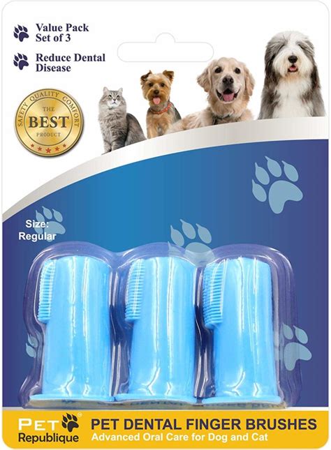 Keep Your Cat’s Teeth Clean & Healthy With These Simply Brilliant ...