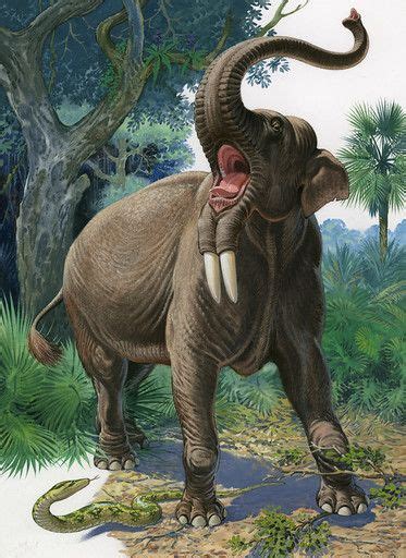 Deinotherium/Gallery | Dinopedia | Fandom | Extinct animals, Ancient ...