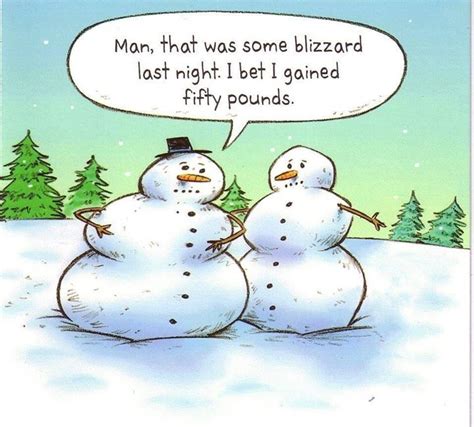 Winter humor :) | Funny christmas cartoons, Christmas humor, Christmas ...