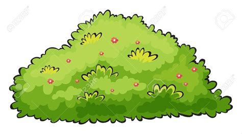 clipart of bushes 10 free Cliparts | Download images on Clipground 2024