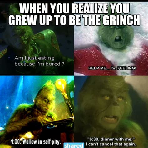 Pin by Haley Conklin on Funnies | Grinch memes, Grinch quotes ...