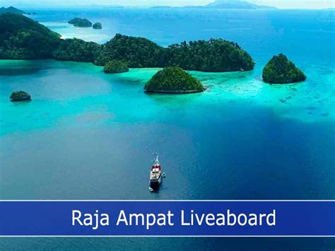 Raja Ampat Liveaboard : Discover Diving Indonesia Paradise