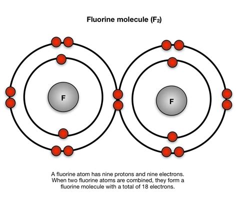 Fluorine Diagram