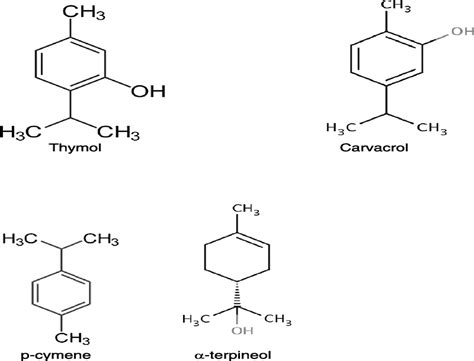 Thyme: History, Applications, and Overview of Potential Heal ...