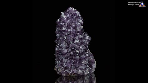 Amethyst Flowers Properties and Meaning + Photos | Crystal Information