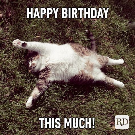 52 Funny Birthday Memes That Will Make Anyone Smile on Their Big Day