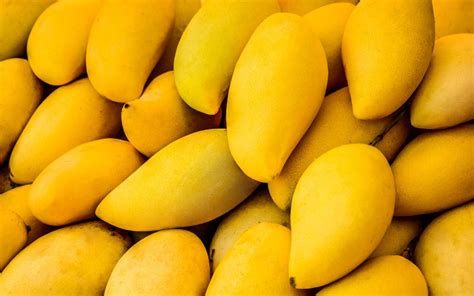 Mangoes in Pakistan: Varieties, Production & Export | Zameen Blog