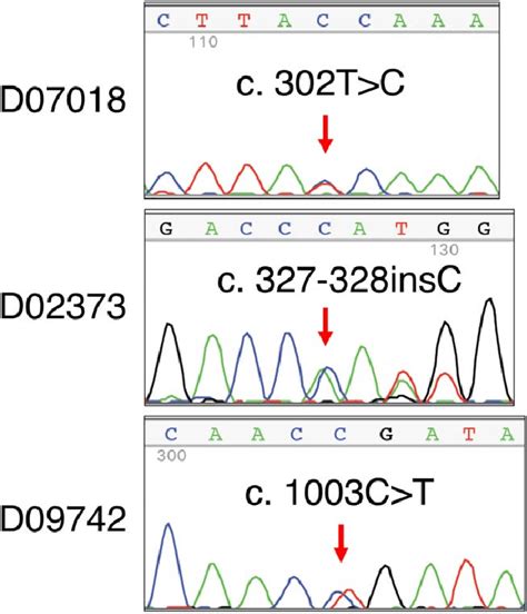 Mutation analysis of PTEN gene. All 9 exons of the human PTEN gene were ...