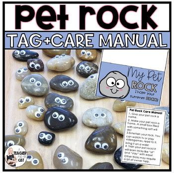 Pet Rock Teaching Resources | TPT