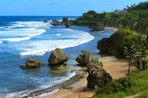 Bathsheba Beach - 2021 What to Know Before You Go (with Photos ...