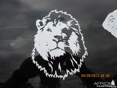 Lion Decal Stickers | AfricaHunting.com