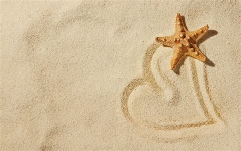 🔥 [40+] Beach and Starfish Wallpapers | WallpaperSafari