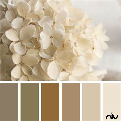 Neutrals Color Palette Ivory Palette, Ivory Color Palette, Color Ivory ...