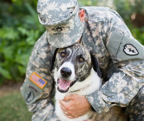 Pet Place | Pets for Vets this Memorial Day Weekend - Pet Place